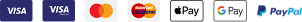 Visa, MasterCard, Maestro, PayPal